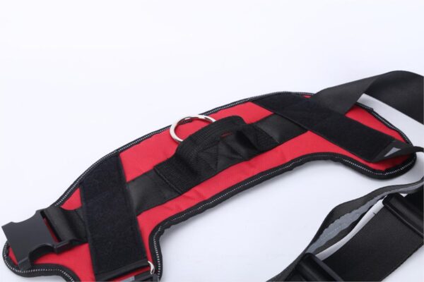 petcres-customized-pet-harness-red-side-view